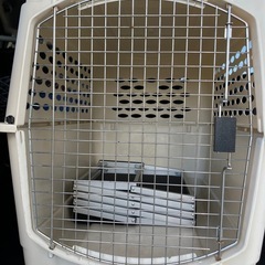 大型バリケンとステップのセットの画像