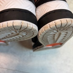 27cm DUNKLOW PROtightbooth×NIKESBの画像