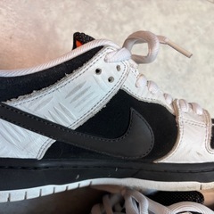 27cm DUNKLOW PROtightbooth×NIKESBの画像