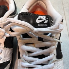 27cm DUNKLOW PROtightbooth×NIKESBの画像