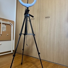 ライブストリームツリーの画像