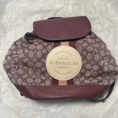 《美品》コーチcoach リュック　シグネチャー　CE601の画像