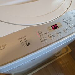 SHARP シャープ 全自動洗濯機 5.5㎏ 2019年製 ES-GE5Cの画像