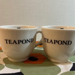 【TEAPOND】アウル ミニ カップセット　30mlの画像