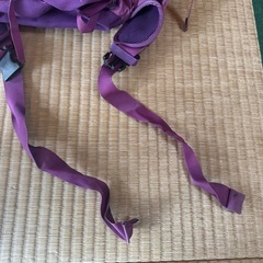 THE NORTH FACE テラス30 の画像