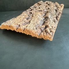 天然バージンコルク着生板1枚　着生植物　コルク樹皮の画像