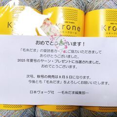 ski krone スキーリエンンシルク夏毛糸 8＋2玉の画像