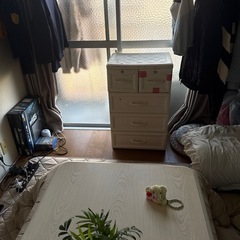 衣装ケース12/24までの画像