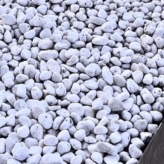 【無料】白玉砂利（白玉石）お譲りしますの画像