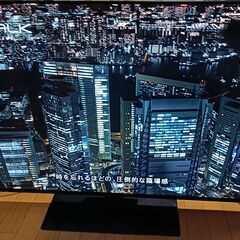 無料配送 2019年 55V型 PanasonicVIERA 4K有機ELTV TH-55GZ1000 HDR10 Youtube NETFLIX 多機能音声リモコン(287)の画像