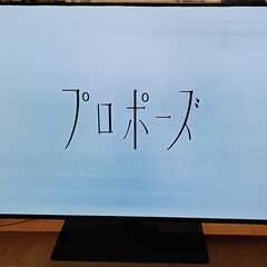 無料配送 2019年 55V型 PanasonicVIERA 4K有機ELTV TH-55GZ1000 HDR10 Youtube NETFLIX 多機能音声リモコン(287)の画像