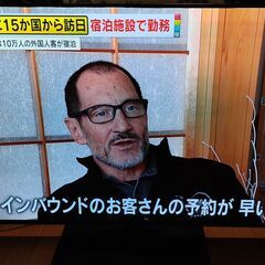 無料配送 2019年 55V型 PanasonicVIERA 4K有機ELTV TH-55GZ1000 HDR10 Youtube NETFLIX 多機能音声リモコン(287)の画像