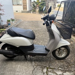 ホンダ Today AF67 インジェクション　書類　鍵あり　エンジン始動動画あり　通勤　通学　 原付の画像