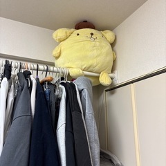 ポムポムプリンの大きなぬいぐるみ4つの画像