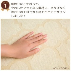 カーペット220×320cmの画像