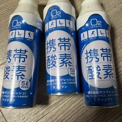 緊急避難用リュックなどなどの画像