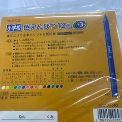 小学校あさがお観察などに適した色えんぴつパスティックの画像