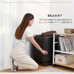 3WAY WLIVE 座椅子 ハイバック 42段階リクライニングの画像