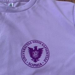 上智大学　ドライTシャツ　Mサイズの画像