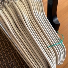 滑らない すべらないハンガー　22本の画像