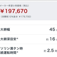 ホンダ　サラダff300 新品同様の画像