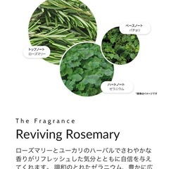 モルトブラウン　オイルコロンの画像