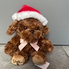 クリスマス　サンタ帽子　ぬいぐるみ　トイプードル　ふわふわの画像
