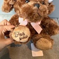 クリスマス　サンタ帽子　ぬいぐるみ　トイプードル　ふわふわの画像