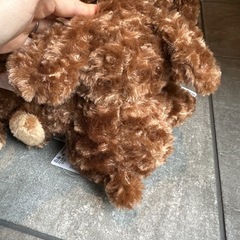 クリスマス　サンタ帽子　ぬいぐるみ　トイプードル　ふわふわの画像