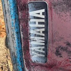 レジャーボートの画像