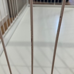 ペットケージ【90×60×60】　の画像
