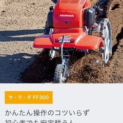 ホンダ　サラダff300 新品同様の画像