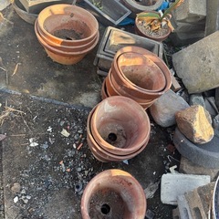 植木鉢　無0円
の画像