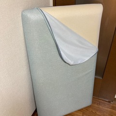 カインズ　長座布団マットの画像