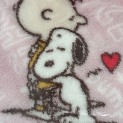 新品未開封　スヌーピーブランケット　大判の画像