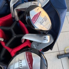 PYKES PEAK PP-2シリーズ ゴルフバッグSUPPORT Hi-101ユーティリティクラブ 14本セットの画像