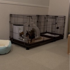 犬用ゲージの画像
