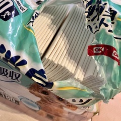 犬用ペットシーツ　レギュラーサイズの画像