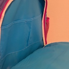 ファインディングニモのドリーのリュック
の画像