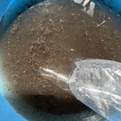 【12月特別キャンペーン！抗菌コートを無料✨】エアコンクリーニング 8,000円～｜即日・丁寧対応の画像