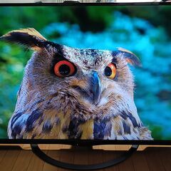 無料配送 2019年SHARP AQUOS 55V型 4T-C55AJ1 4K液晶テレビ HDR10 Youtube NETFLIX 多機能音声リモコン(103)の画像