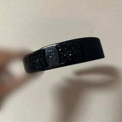 フェラガモカチューシャの画像