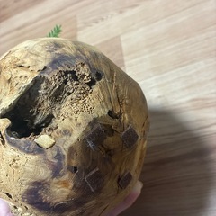 多肉　インテリアの画像