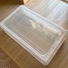 ニトリ　衣装ケースの画像