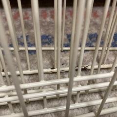 ペットサークルの画像