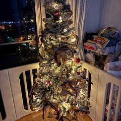 クリスマスツリーの画像