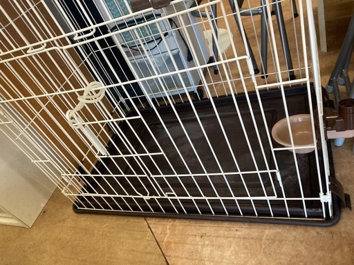 キャットフレンドルーム　リサイクルショップ宮崎屋　佐土原店　25.12.18