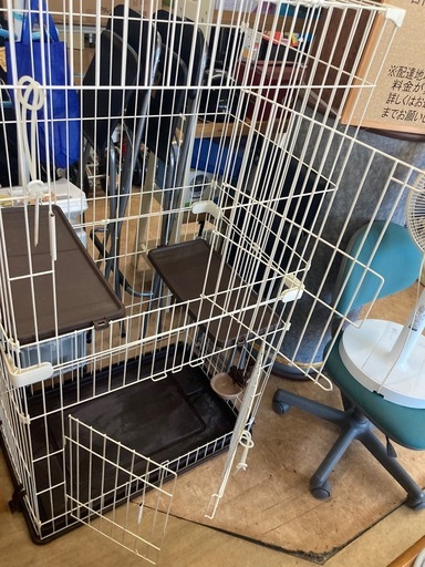 キャットフレンドルーム　リサイクルショップ宮崎屋　佐土原店　25.12.18