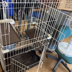 キャットフレンドルーム　リサイクルショップ宮崎屋　佐土原店　25.12.18の画像
