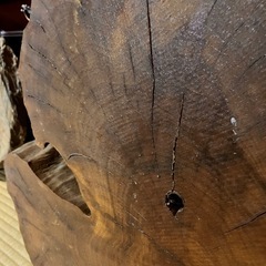 インテリア　木　の画像